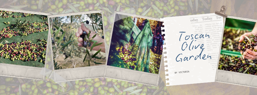 Toscan Olive Garden season